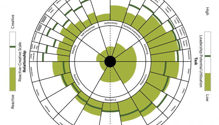 An example of a leadership circle profile. Source: https://leadershipcircle.com/leadership-assessment-tools/leadership-circle-profile/